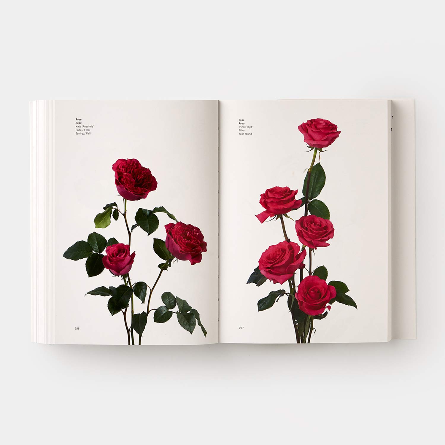 Flower Color Guide by Darroch & Michael Putnam | PUTNAM Flower Color Guide by Darroch & Michael Putnam | PUTNAM